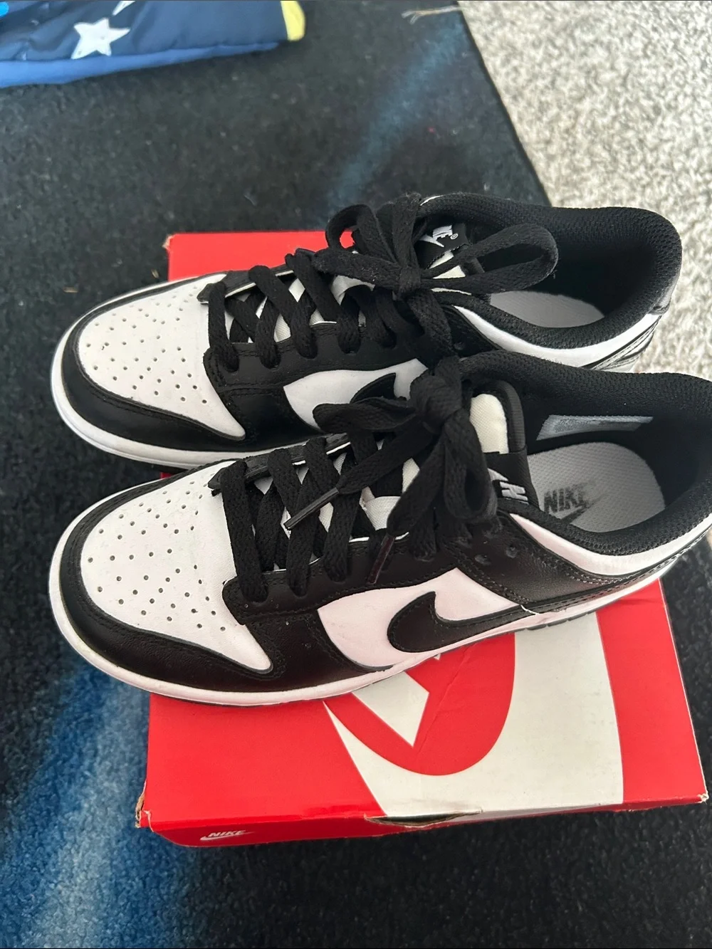 Nike Dunk Black and White Low-Top Sneakers